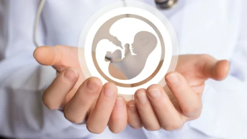 Fertility specialist in Rhode Island helping with IVF care